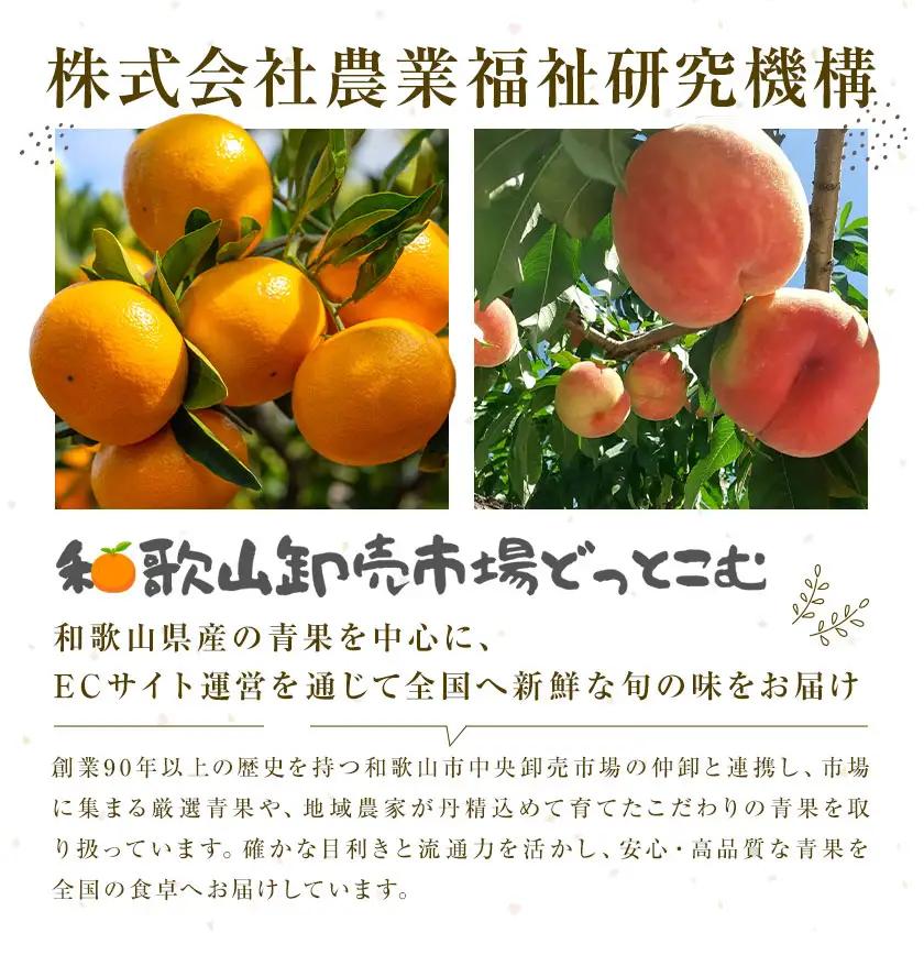 紀州南高梅 秀品 (完熟) 3L 4kg 農業福祉研究機構《6月下旬-7月上旬頃出荷》