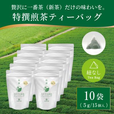 ふるさと納税 日向市 特撰みやざき煎茶ティーバッグ　10袋