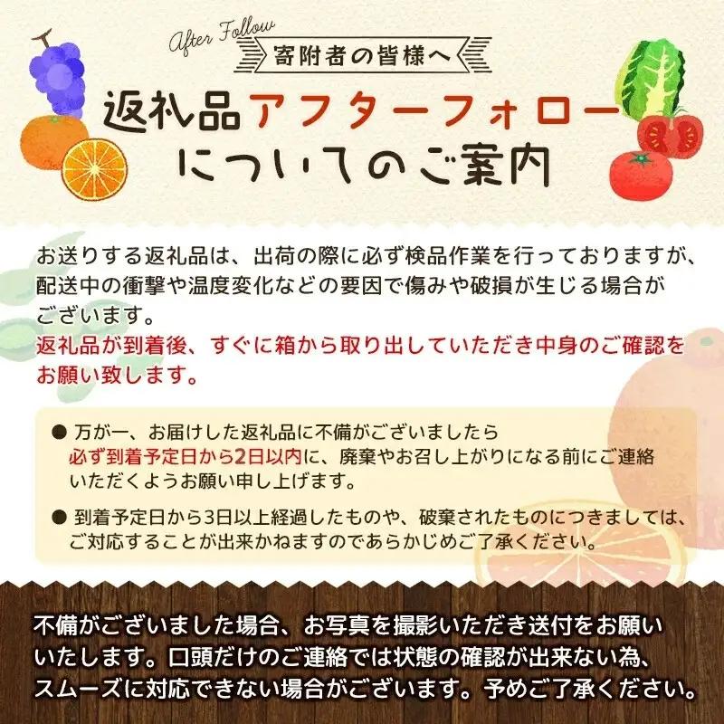 有田育ちの ご家庭用 完熟 有田みかん 5.2kg(5kg+200g) 農家直送 わけあり 訳あり ※2026年10月上旬から下旬頃に順次発送予定 / 温州みかん みかん フルーツ 果物  柑橘 くだ