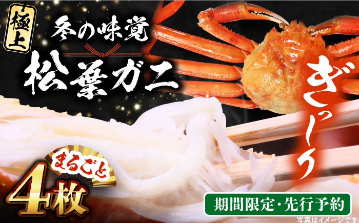 
            【期間限定・先行予約】冬の味覚の代表格！松葉ガニ 4枚 島根県松江市/フジキコーポレーション株式会社 [ALDS019]｜松葉ガニ かに カニ 鍋 グルメ 海鮮 お取り寄せ 国産 島根 松江 おすすめ
          