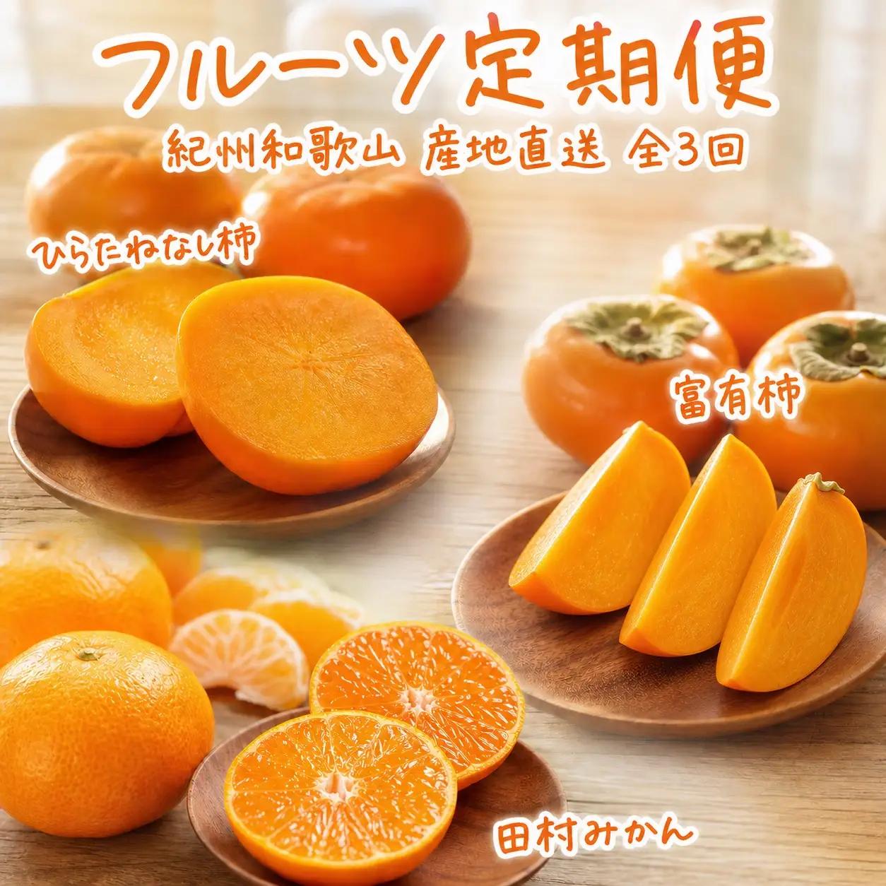 定期便【全3回/10・11・12月】秋の味覚 果物定期便　柿・みかん　旬のフルーツを毎月お届け♪ / フルーツ定期便 みかん 柿 フルーツ 果物 柑橘【tkb130】