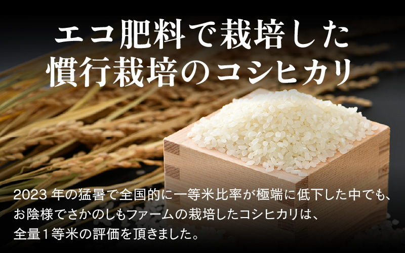 【先行予約】【令和8年産 新米】【一等米】《定期便3回》エコ栽培コシヒカリ 白米10kg（5kg×2袋）計30kg ／ 鮮度抜群 福井県産 こしひかり ご飯 新鮮 白米 ※2026年10月上旬以降順次
