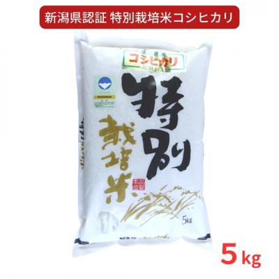 ふるさと納税 三条市 特別栽培米 コシヒカリ5kg 令和7年産 新潟県認証 新潟県三条市産 こしひかり 【010S275】