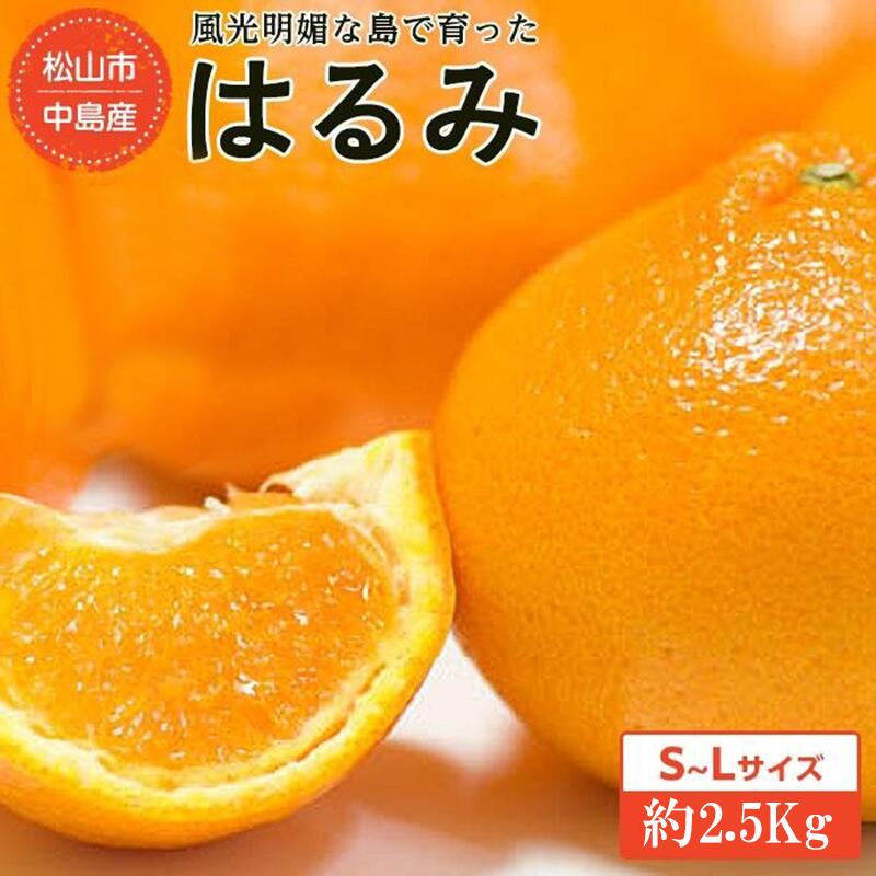 【ふるさと納税】 ★発送は1月下旬～★松山市中島産 はるみ S～Lサイズ （約2.5kg）