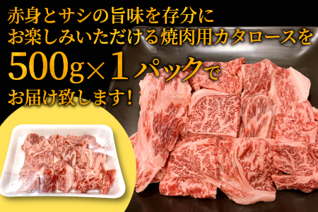 大人気商品セット★根羽こだわり和牛 切り落とし500g＆カタロース焼肉用500g