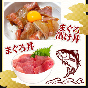 【 まぐろ 】 キハダマグロ 赤身 1.5kg