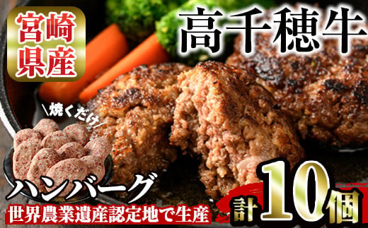 高千穂牛 ハンバーグ(計10個・2個×5P)国産 宮崎県産 宮崎牛 牛肉 ハンバーグ 焼くだけ 便利 霜降り A4 和牛 ブランド牛【MT005】【JAみやざき 高千穂牛ミートセンター】