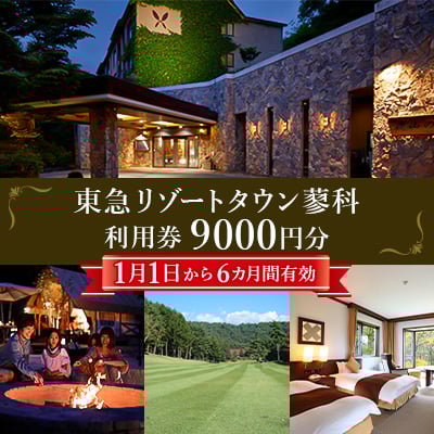 
            東急リゾートタウン蓼科利用券(1,000円分×9枚)2025年1月1日から6か月間有効チケット【1422228】
          