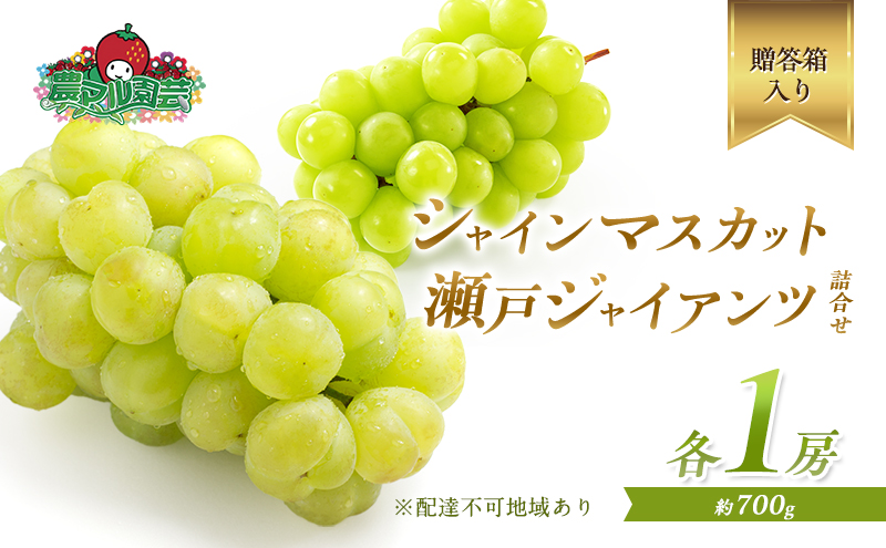 ぶどう2025年 先行予約 シャイン マスカット 1房 瀬戸ジャイアンツ 1房 各約700g 詰合せ 贈答箱 ブドウ 葡萄 フルーツ 果物 岡山 赤磐市産 農マル園芸 あかいわ農園