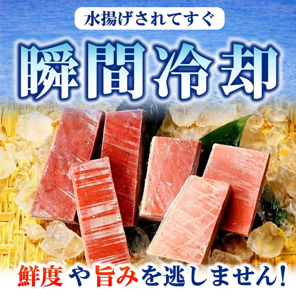 たね熟天然本まぐろ大トロ(320g) [AOCE003] 鮪