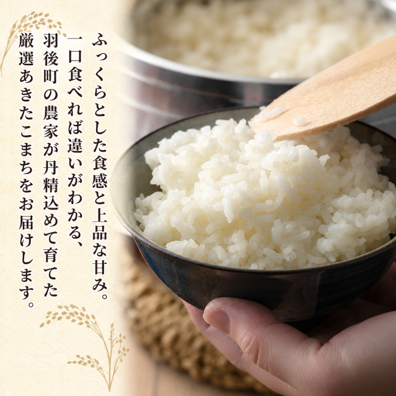新米 先行予約［令和8年産］定期便 秋田県産 あきたこまち 10kg (5kg×2袋) 全3回 毎月お届け 羽後町産 [藤原商店]【 米 お米 白米 精米 あきたこまち アキタコマチ 定期 定期便 美