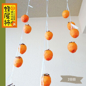 ＜先行受付＞蜂屋柿　約6kg 【2025年10月下旬以降順次発送】【柿　かき　カキ　蜂屋柿　蜂屋かき　蜂屋カキ　柿先行予約　かき先行予約　カキ先行予約　かき　柿　カキ】