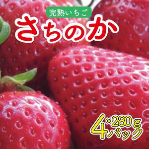 いちご さちのか 4パック ( 280g × 4 ) 大粒 果物 フルーツ 苺 ストロベリー  ケーキ アイス タルト ジュース ゼリー ジェラート シャーベット ジャム スムージー 洋菓子 和菓子 フルーツサンド フルーツ大福 いちご大福 プレゼント ギフト お取り寄せ グルメ 送料無料 徳島県 阿波市