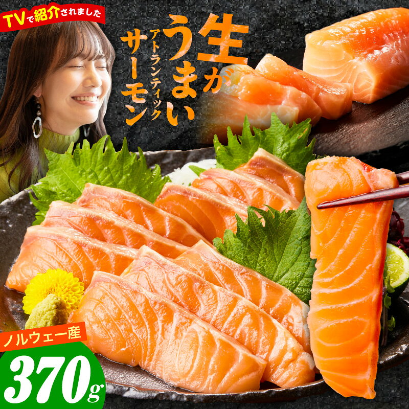 【ふるさと納税】アトランティックサーモン 370g 刺身 サーモン ポーション ブロック 柵 鮭 さけ 訳あり サイズ不揃い 魚 海鮮 生食 海鮮丼 カルパッチョ サーモン丼 小分け 冷凍 ノルウェー産 大阪府 泉佐野市 送料無料