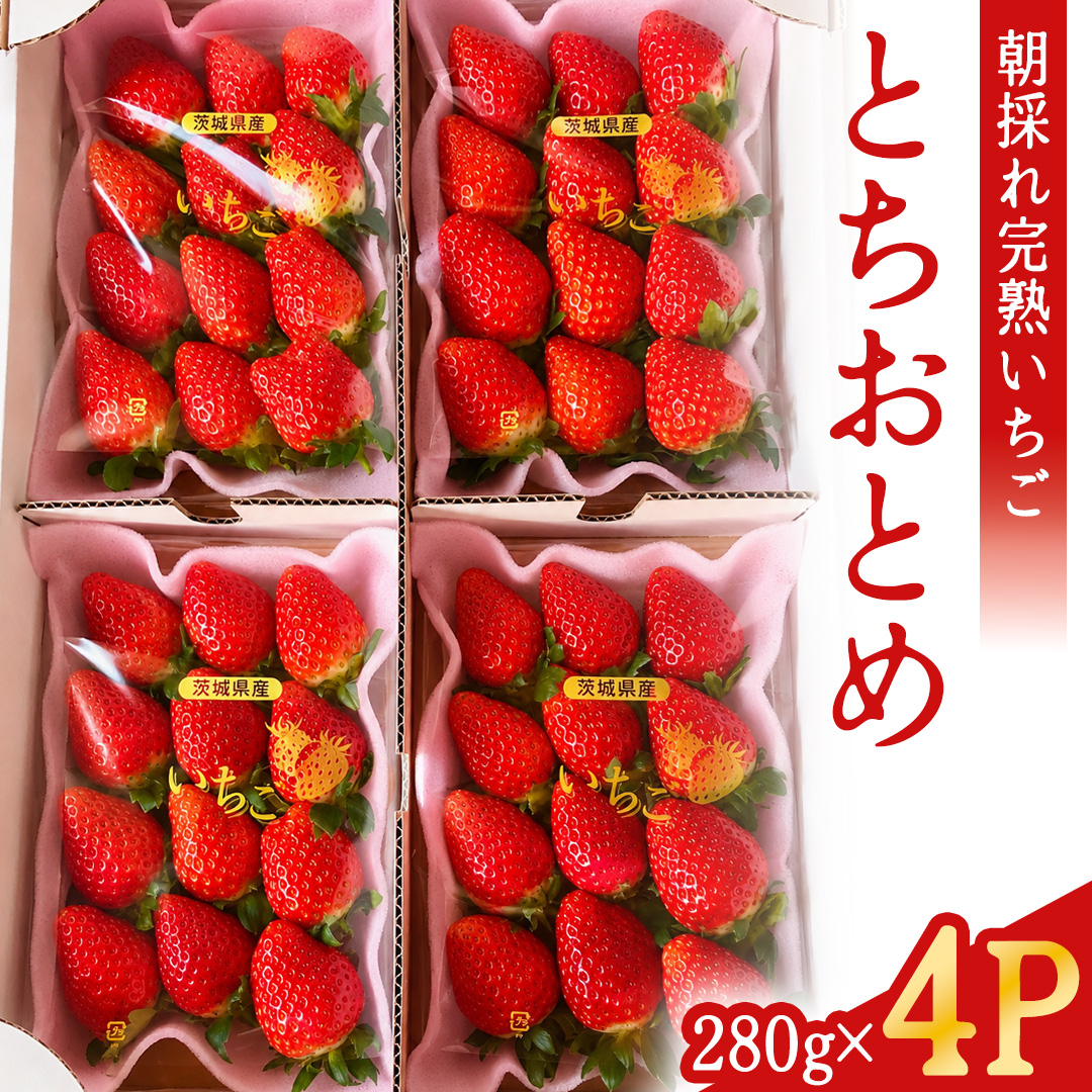 【2027年1月発送】 とちおとめ 約1120g （280g × 4パック）(BT002)