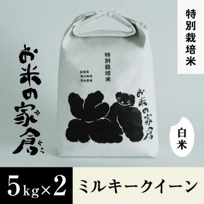 ふるさと納税 長浜市 【新米:令和7年産】滋賀県長浜市　お米が甘い!特別栽培　ミルキークイーン　5K×2　白米
