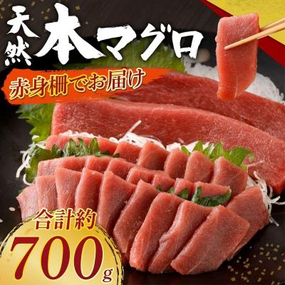 ふるさと納税 室戸市 天然本まぐろ 赤身サク 合計約700g 刺身 柵 マグロ