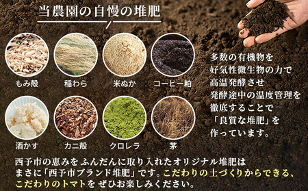 ＜孫トマト（桃太郎トマト）約3kg＞ トマト とまと 3キロ 孫トマト 大玉 愛媛県産 西予市産 食品 桃太郎トマト 桃太郎 野菜 やさい サラダ 産地直送 国産 城川 吉岡農園 愛媛県 西予市【常温