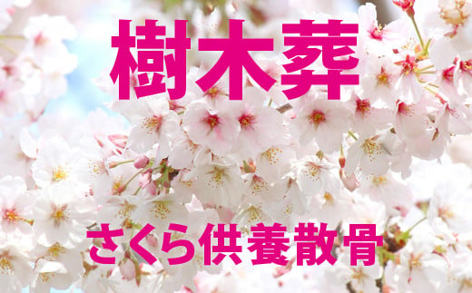 自然供養のカンシャ 樹木葬　さくら供養散骨