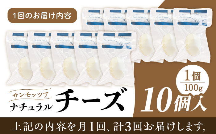 【全3回定期便】自家製ナチュラルチーズ サンモッツア 10個 ( 100g × 10個 ) 熊本 山都町【山の未来舎】[YBV017]