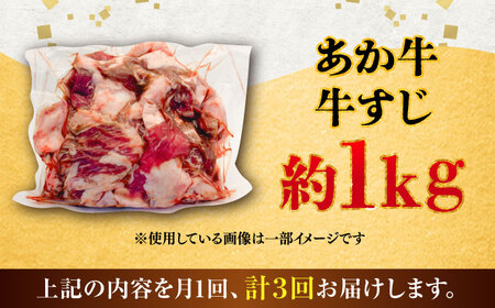 【全3回定期便】熊本あか牛スジ 約1kg / 熊本県 あか牛 あかうし 和牛 牛すじ すじ肉 牛肉 お肉 褐毛和種 冷凍 国産【五右衛門フーズ】[BHCY050]