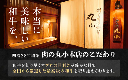 丸小本店 老舗肉屋の淡路島産の玉ねぎまるごと和牛カレー 2人前450g×4個セット レトルト ビーフカレー 国産牛 恵那市 / テンポイント [AUFN014]