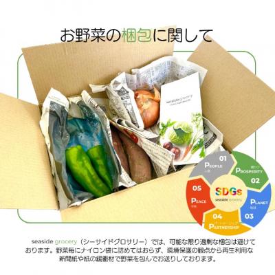 ふるさと納税 南あわじ市 【シーサイドグロサリー】淡路島産規格外野菜ボックス・Mサイズ(2〜3人向け) |  | 03