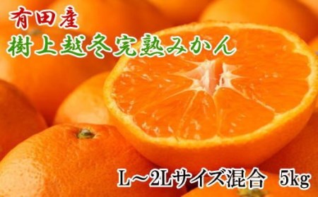 【濃厚・まろやか】有田産樹上越冬完熟みかん5kg（L～2Lサイズ混合・秀品）【tec874A】