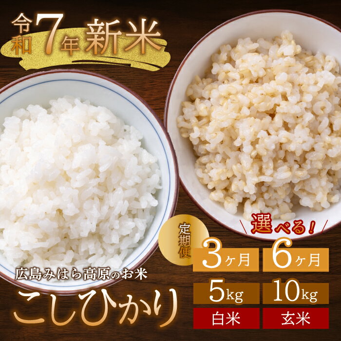 【ふるさと納税】【先行受付】■3か月定期便■ 令和7年新米 コシヒカリ 白米5kg 2025年9月頃～発送 お米 米 精米 ごはん ご飯 広島県 三原市 220005
