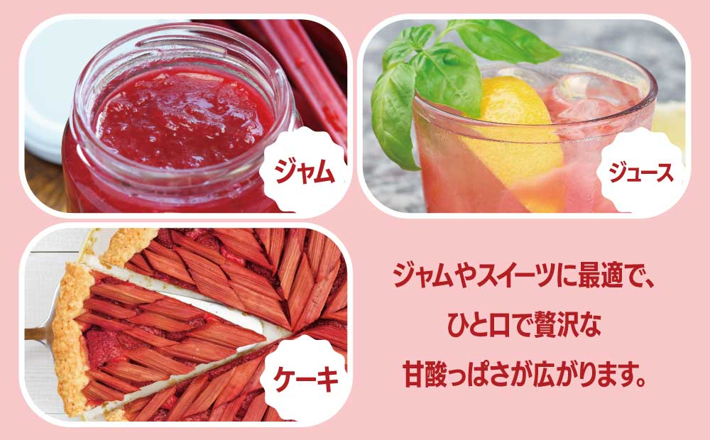 北海道 伊達市産 ルバーブ(B品／冷凍) 2kg｜国産 野菜 ジャム パイ お菓子作り【kzh-014】 2kg