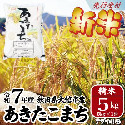 ふるさと納税 大館市 【新米先行受付】令和7年産ホタルが舞う清らかな環境で育った「あきたこまち」5kg(5kg×1袋)