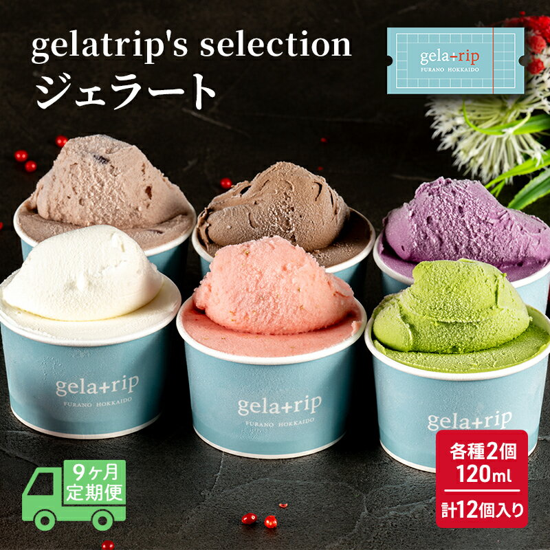 【ふるさと納税】≪9ヵ月定期便≫gelatrip's selection ジェラート12個BOX　定期便・上富良野町