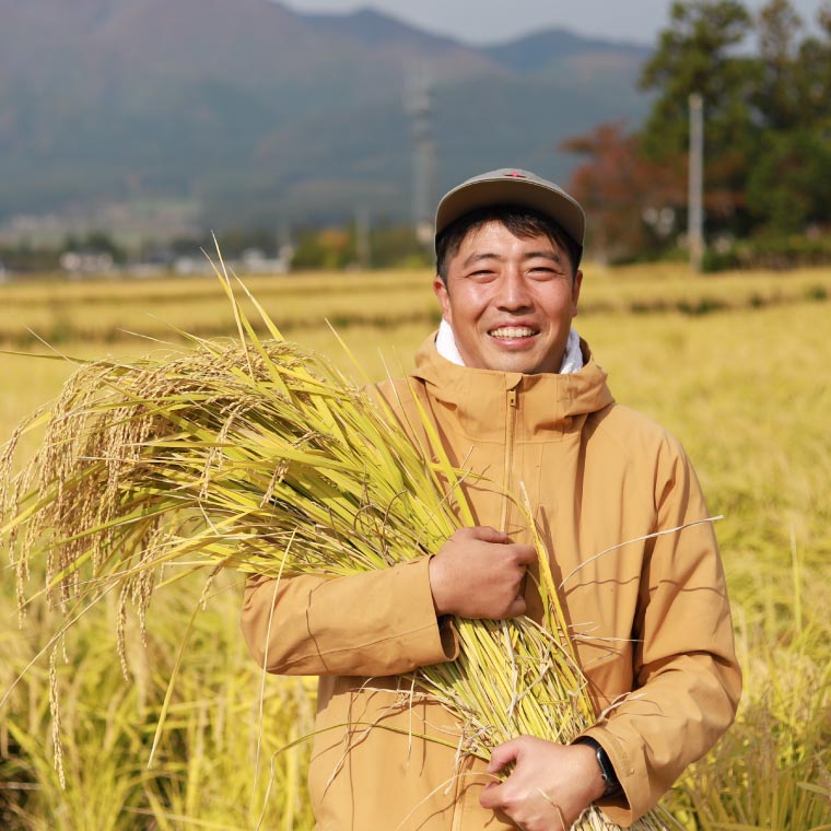 数量限定 令和7年産 「ひとめぼれ」 精米 5kg | 米 お米 コメ 精米 白米 ヒトメボレ 岩手県紫波町 (DZ006) 5kg