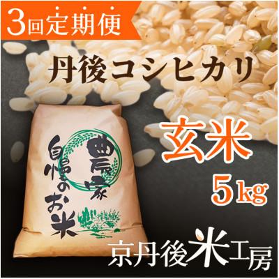 ふるさと納税 京丹後市 【毎月定期便】京丹後産コシヒカリ 玄米5kg全3回