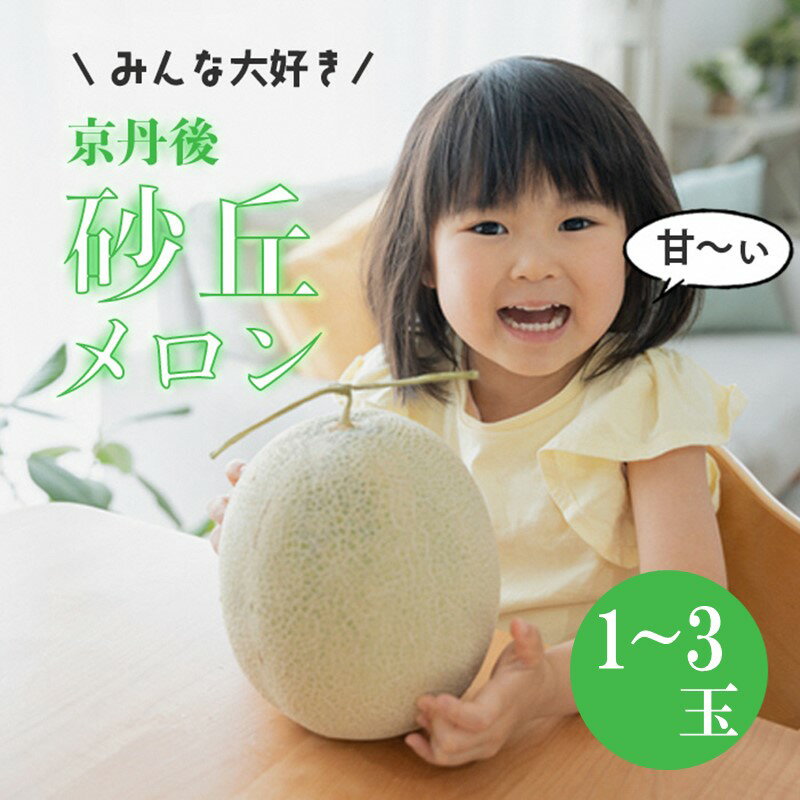 【ふるさと納税】 2026年夏発送／【先行予約】みんな大好き甘～ぃ！京丹後砂丘めろん！ 1玉 2玉 3玉（2026年7月下旬～発送）選べる 内容量 国産 果物 メロン 砂丘メロン 甘い 糖度 京都 ふるさと納税 メロン ふるさと納税 先行予約 期間限定 ふるさと納税 フルーツ