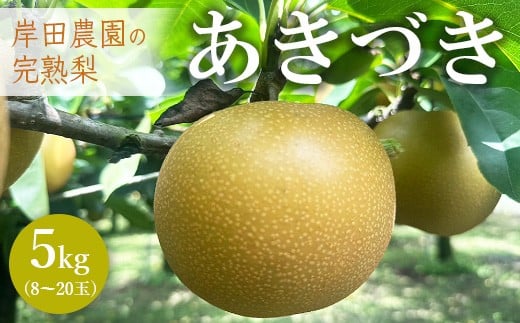 
            【先行予約】岸田農園の完熟梨 あきづき【5kg,8-20玉入り】 | 梨 なし 秋月 果物 フルーツ 完熟 ジューシー 秋 旬 産地直送 期間限定 季節限定 季節商品 送料無料 国産 栃木県 芳賀町 ※2025年9月中旬～9月下旬頃に順次発送予定
          