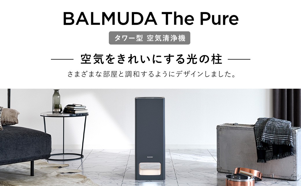 BALMUDA The Pure A01A／JP