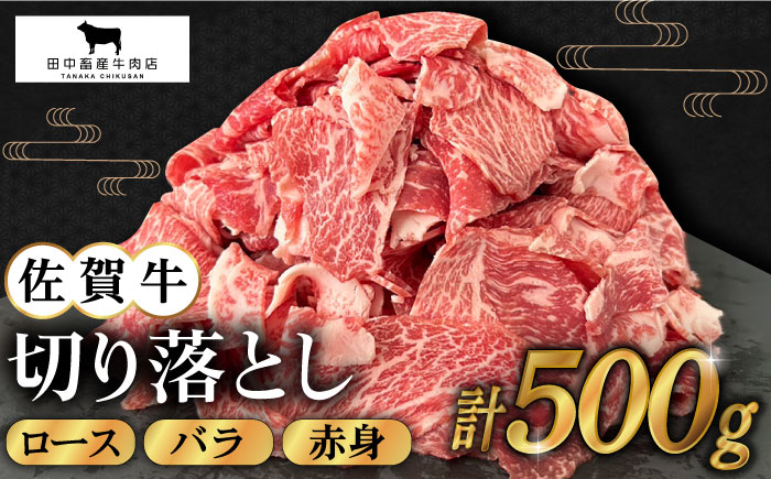 
【2度の農林水産大臣賞】佐賀牛 切り落とし 500g【田中畜産牛肉店】 [HBH128]
