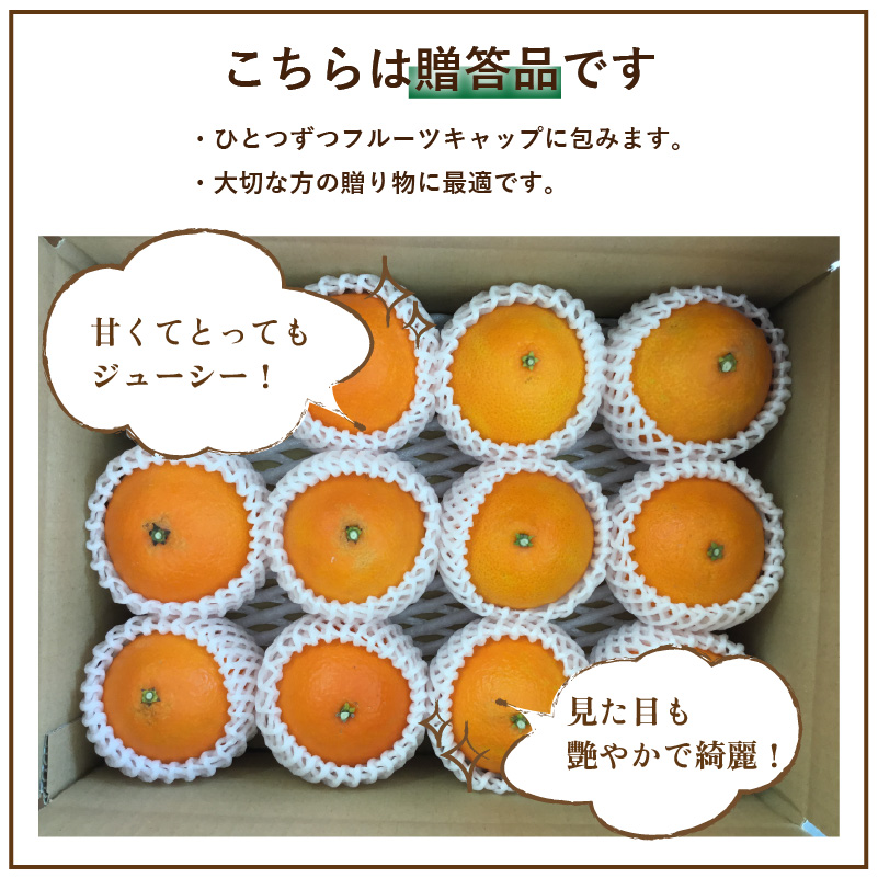 愛媛 みかん 愛果28号 贈答用 2kg あいか 【先行予約 2025年12月上旬から発送】 |  紅まどんな と同品種 柑橘 みかん まどんな 柑橘 みかん 果物  おすすめ 高級 人気 お取り寄せ