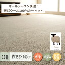 【ふるさと納税】天然ウール100%の 防炎 カーペット 1枚 10帖 ベージュ 約352×440cm 600023590｜防炎 防ダニ 抗菌加工 防音 オールシーズン ウールカーペット インテリア 天然素材 [3523]