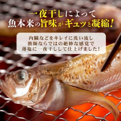 ふるさと納税 越前町 【のし付】【越前海岸・美味直送シリーズ】一夜干しハタハタ詰合わせ　1kg(200g入×5パック) |  | 01