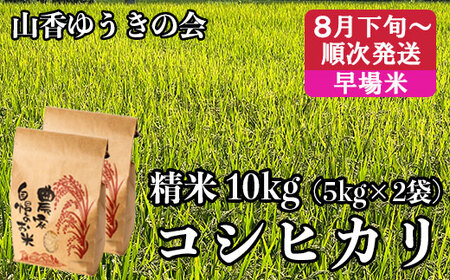 【 8月下旬発送開始 令和7年産 新米 先行予約 】山香ゆうきの会の米 10kg（精米：コシヒカリ） 新米 10kg 米 早場米 先行予約 先行受付 ＜002-022＞