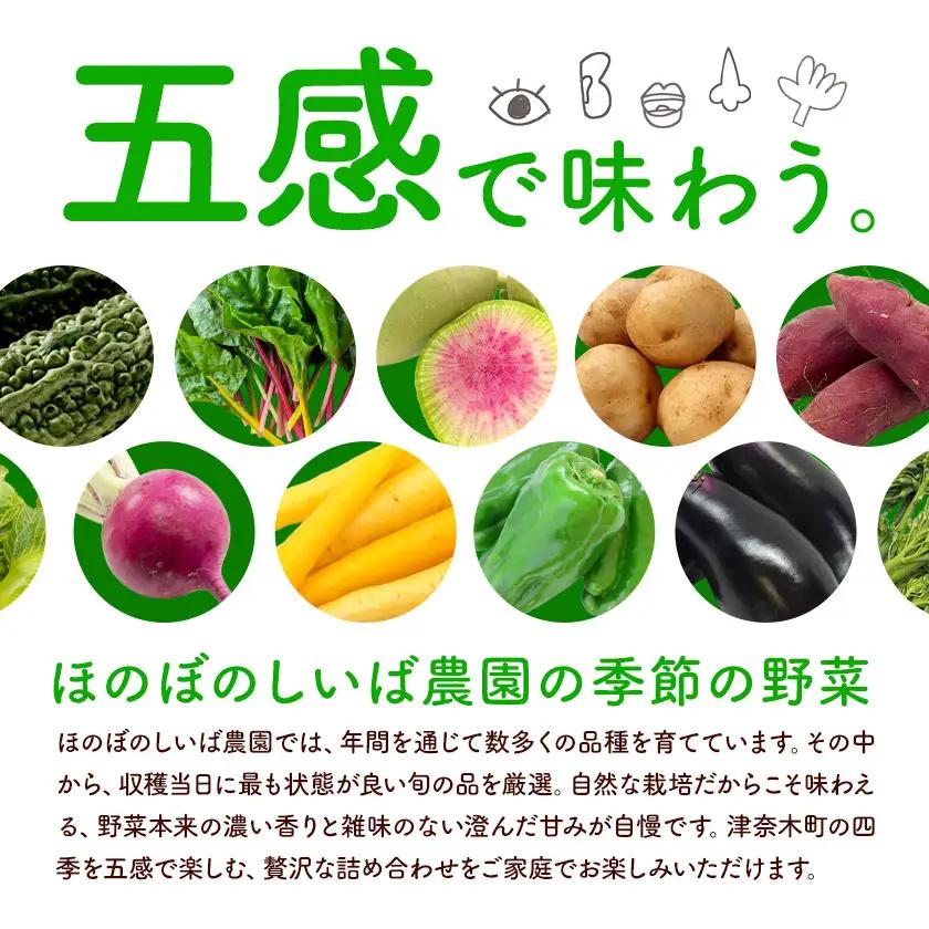 野菜 季節の野菜 10品 詰め合わせ セット ほのぼのしいば農園《9月上旬-2月下旬頃出荷》