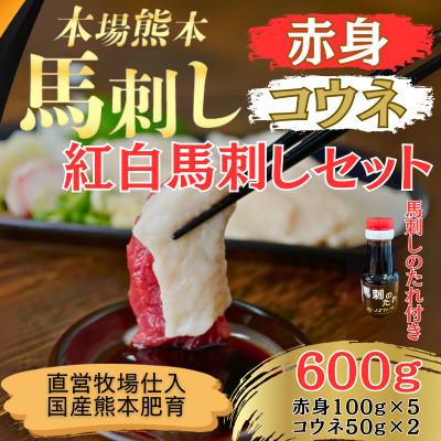 ふるさと納税 和水町 本場熊本の鮮馬刺し 国産 馬肉 熊本 肥育 赤身 コウネ 馬刺 醤油付き 小分け 600g(和水町)