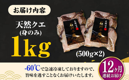 【全12回定期便】【 対馬産 】 天然 クエ 1kg（500g×2）（身のみ）《対馬市》【石川水産】 鍋 水炊き 鮮度抜群 海鮮[WAB026]