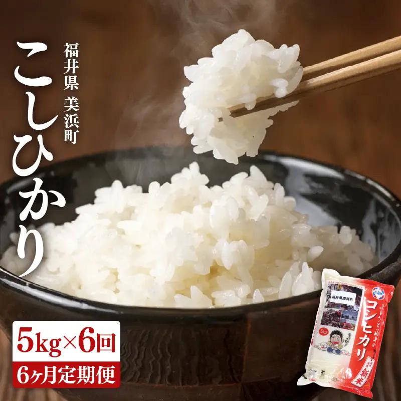 【先行予約】【令和8年産・新米】 定期便 ≪6ヶ月連続お届け≫ 米 コシヒカリ 5kg × 6回 （計30kg）精米 福井県美浜町産 【2026年10月下旬より順次発送】 [m60-f006]