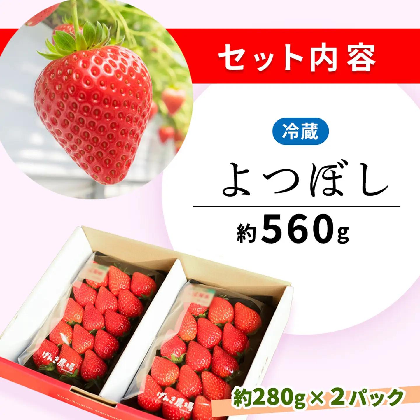 【2027年4月発送】【先行予約】【農場直送！】よつぼし(約280g×2P) K100103