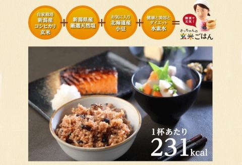 【6ヶ月定期便】さっちゃんの酵素玄米ごはん「冷凍タイプ」70g×2個×14パック×6回 コシヒカリ おにぎり 健康 美容 1F14115