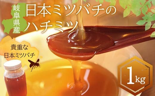 岐阜県産 日本ミツバチのハチミツ 1kg  ハチミツ 蜂蜜 調味料 はちみつ 加工品 食品 岐阜県 坂祝町 F6M-071