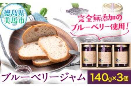 手作り ブルーベリージャム（140g×3個）ジャム